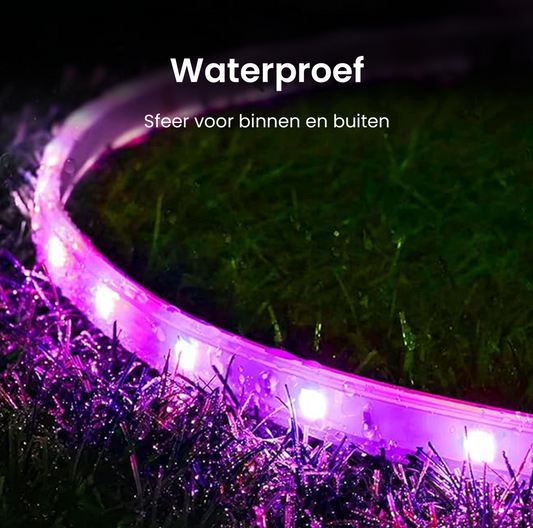 Waterdichte Evura RGB LED strip voor binnen en buiten. IP65 beschermd tegen regen en vocht, ideaal voor sfeervolle tuinverlichting.